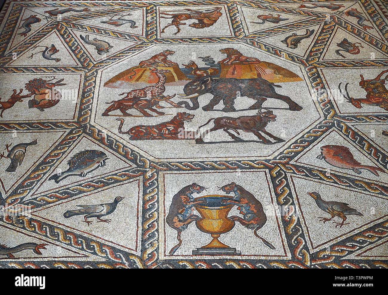 African animals and fish from the 3rd century Roman mosaic villa floor from Lod, near Tel Aviv, Israel. The Roman floor mosaic of Lod is the largest a Stock Photo