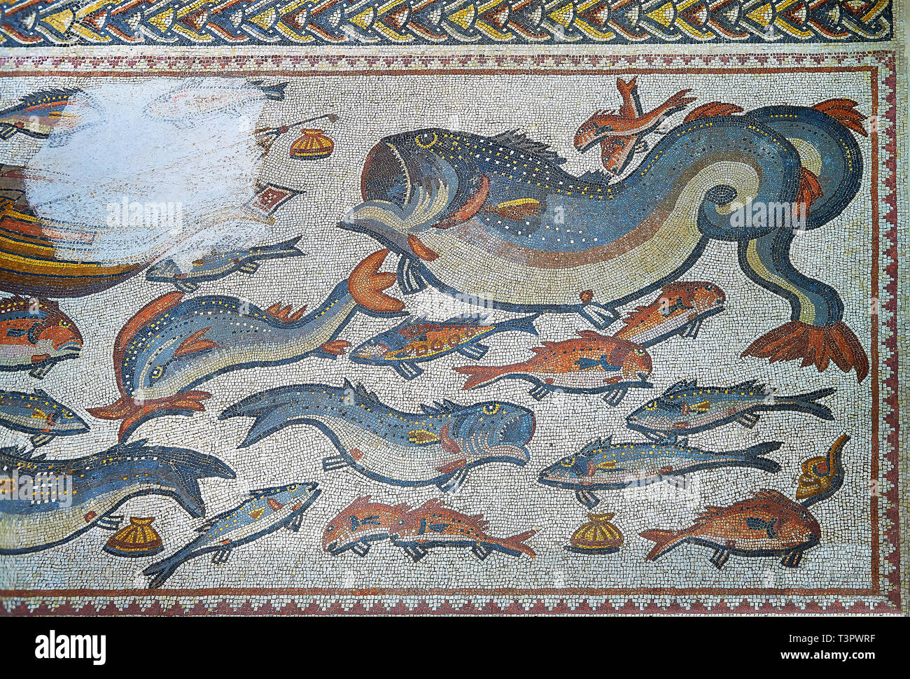 Fish and marine life from the 3rd century Roman mosaic villa floor from Lod, near Tel Aviv, Israel. The Roman floor mosaic of Lod is the largest and b Stock Photo