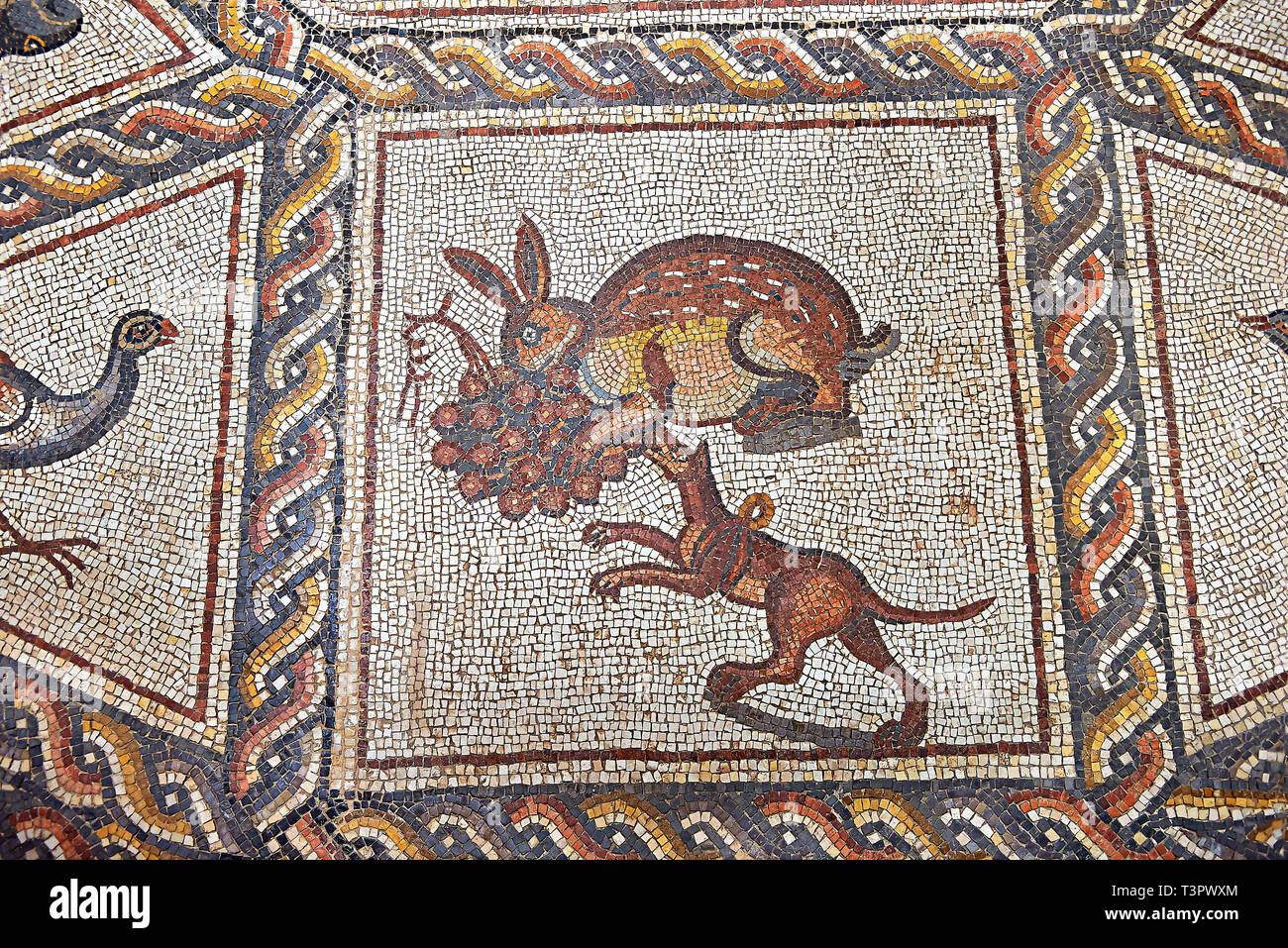 Hunting scene with a hare and dog from the 3rd century Roman mosaic villa floor from Lod, near Tel Aviv, Israel. The Roman floor mosaic of Lod is the  Stock Photo