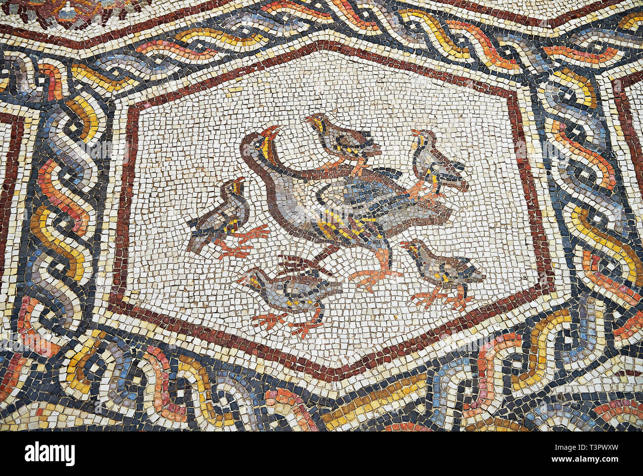 Partridge and its chicks from the 3rd century Roman mosaic villa floor from Lod, near Tel Aviv, Israel. The Roman floor mosaic of Lod is the largest a Stock Photo