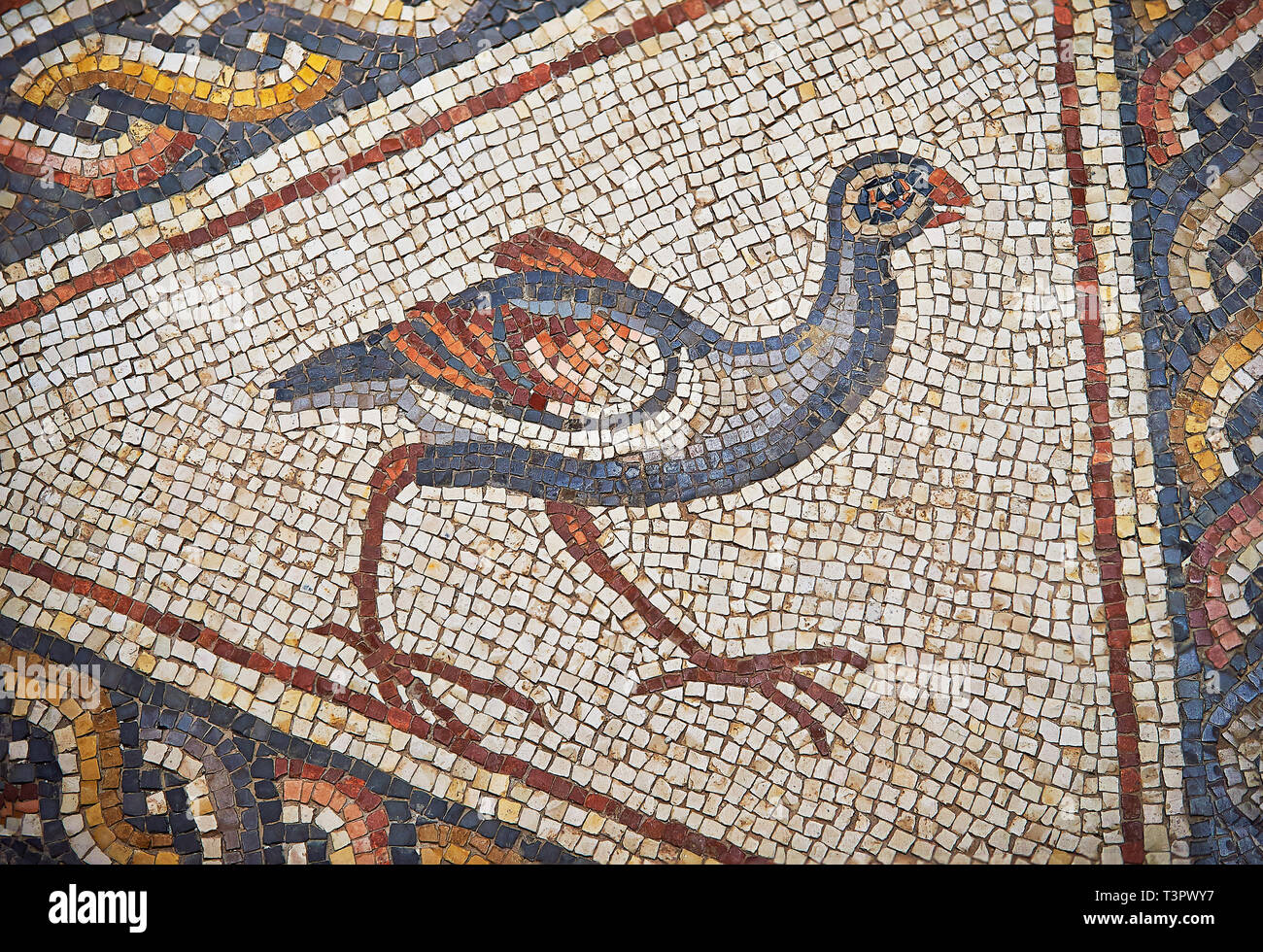https://c8.alamy.com/comp/T3PWY7/a-bird-from-the-3rd-century-roman-mosaic-villa-floor-from-lod-near-tel-aviv-israel-the-roman-floor-mosaic-of-lod-is-the-largest-and-best-preserved-T3PWY7.jpg