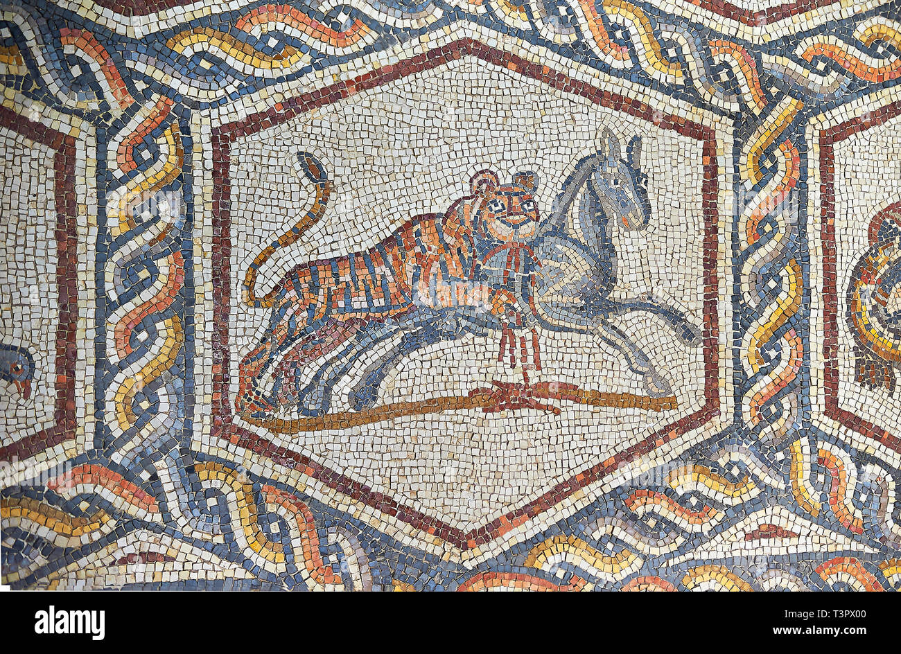 A tiger hunting from the 3rd century Roman mosaic villa floor from Lod, near Tel Aviv, Israel. The Roman floor mosaic of Lod is the largest and best p Stock Photo