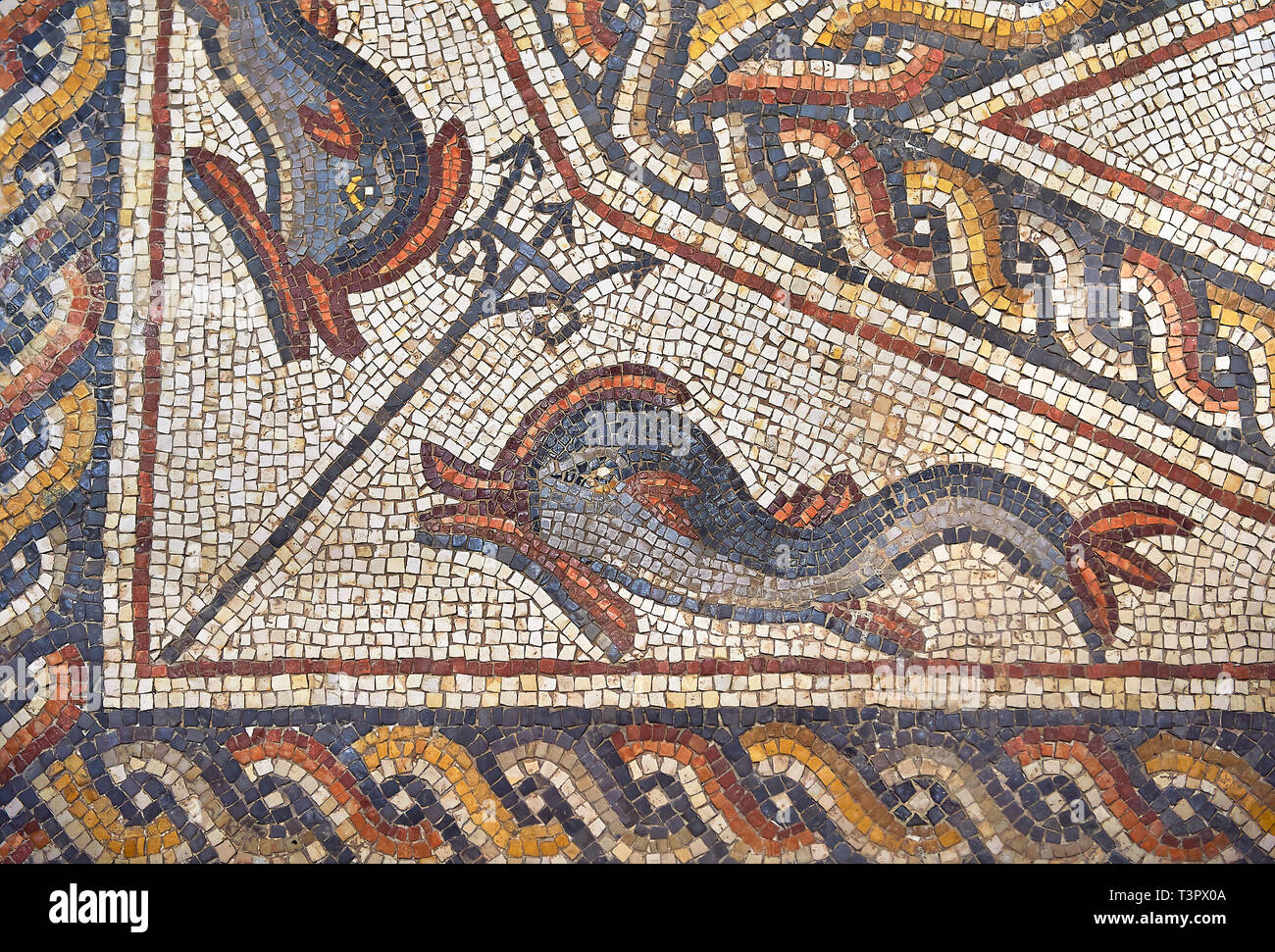 Fish from the 3rd century Roman mosaic villa floor from Lod, near Tel Aviv, Israel. The Roman floor mosaic of Lod is the largest and best preserved mo Stock Photo