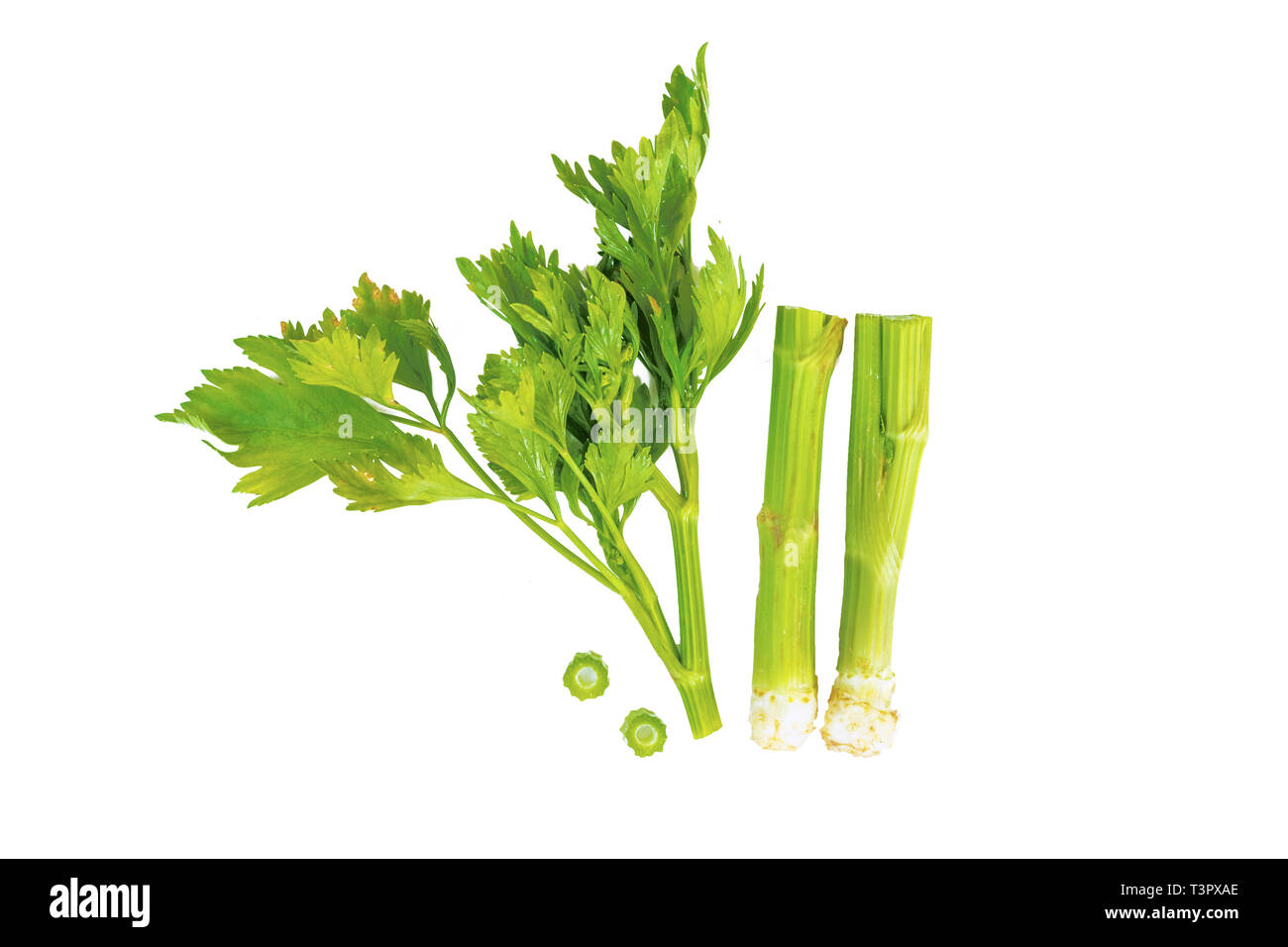 Celery stick Cut Out Stock Images & Pictures Alamy
