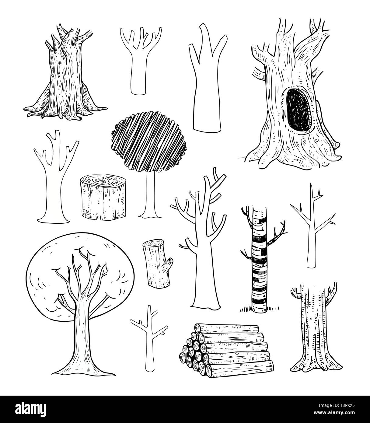trees set, vector illustration Stock Vector Image & Art - Alamy