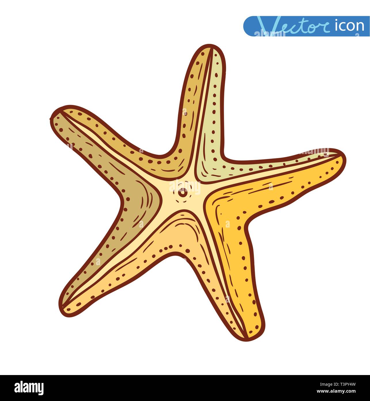 Starfishes set .hand drawn Vector Illustration Stock Vector Image & Art ...