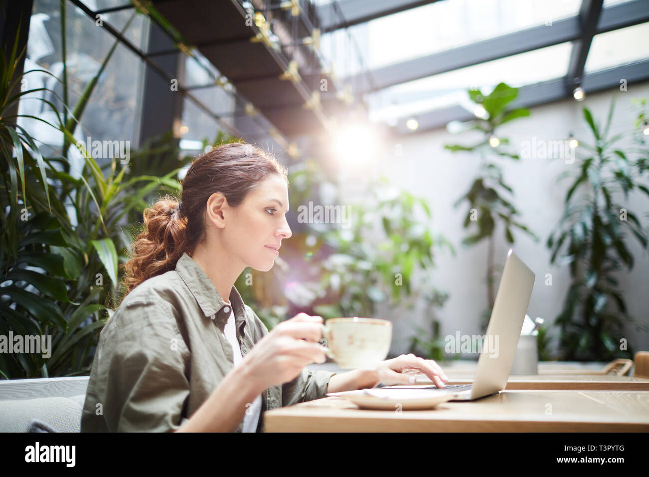 Concentrated freelancer working on online project Stock Photo