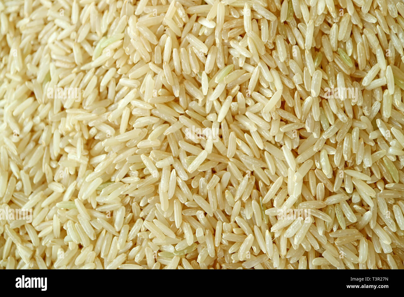 Heap of Raw Thai Brown Jasmine Rice or Hom Mali Rice for Texture