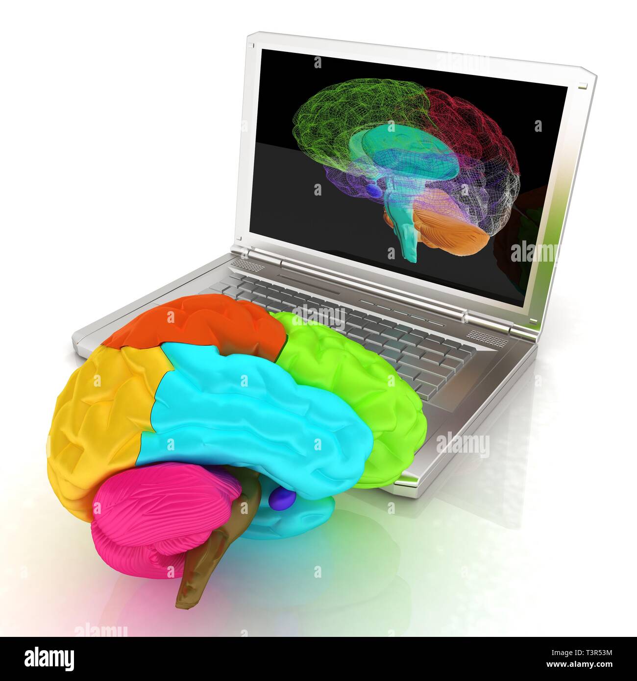 creative three-dimensional model of real human brain and scan on a ...
