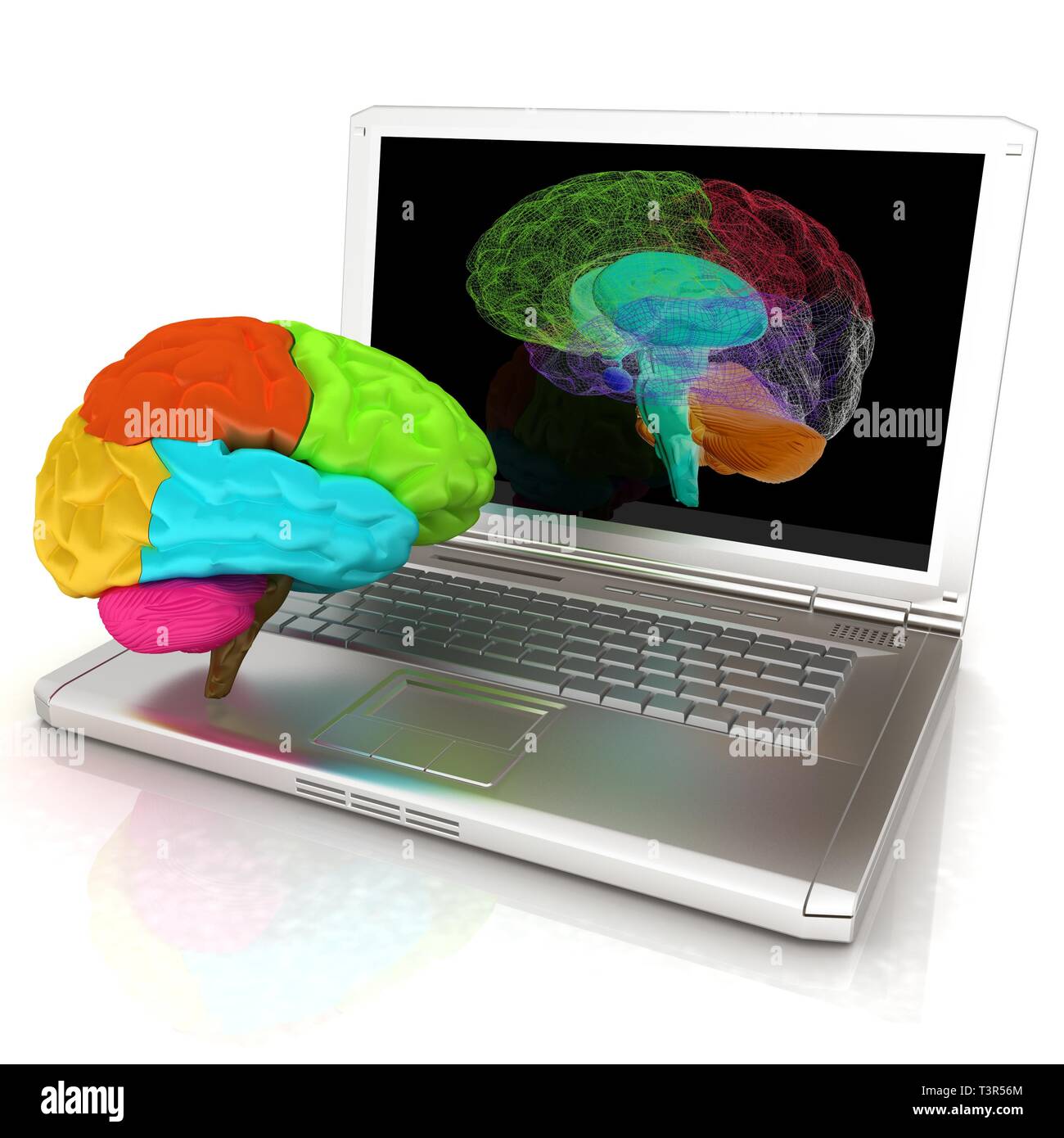 creative three-dimensional model of real human brain and scan on a ...