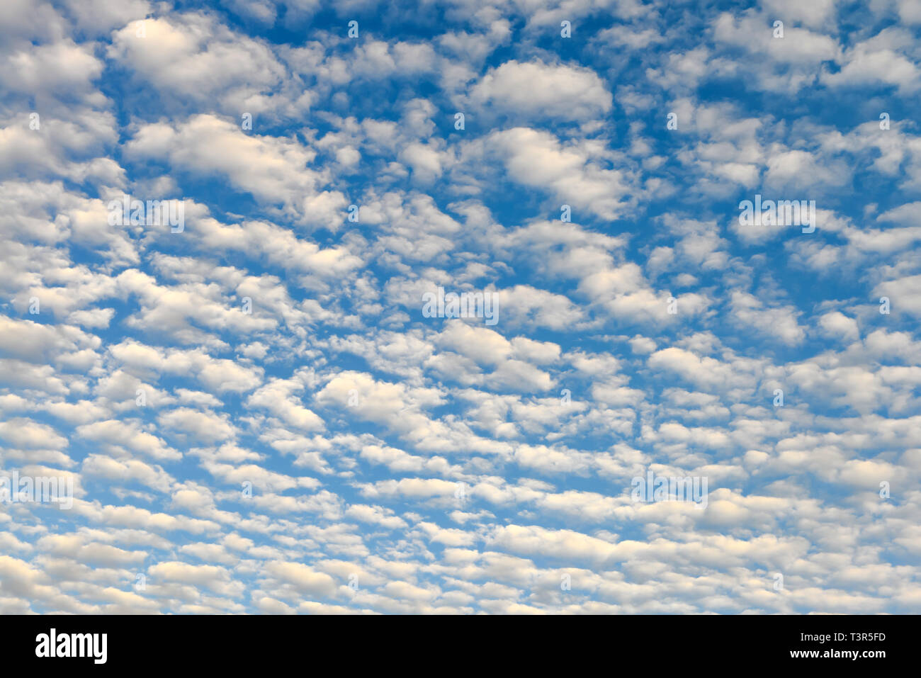 The blue sky and white fluffy clouds Stock Photo - Alamy