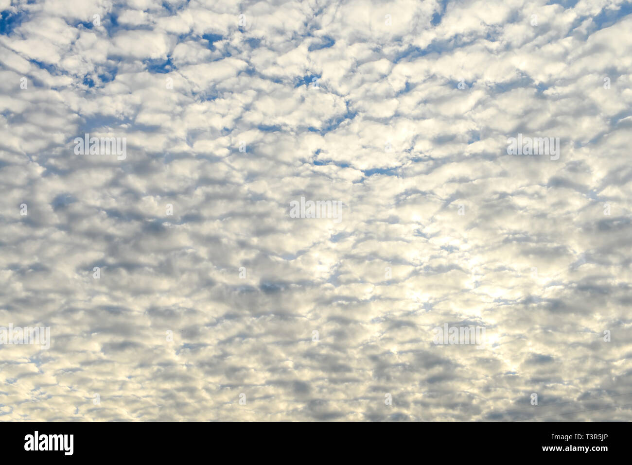 The blue sky and white fluffy clouds Stock Photo - Alamy
