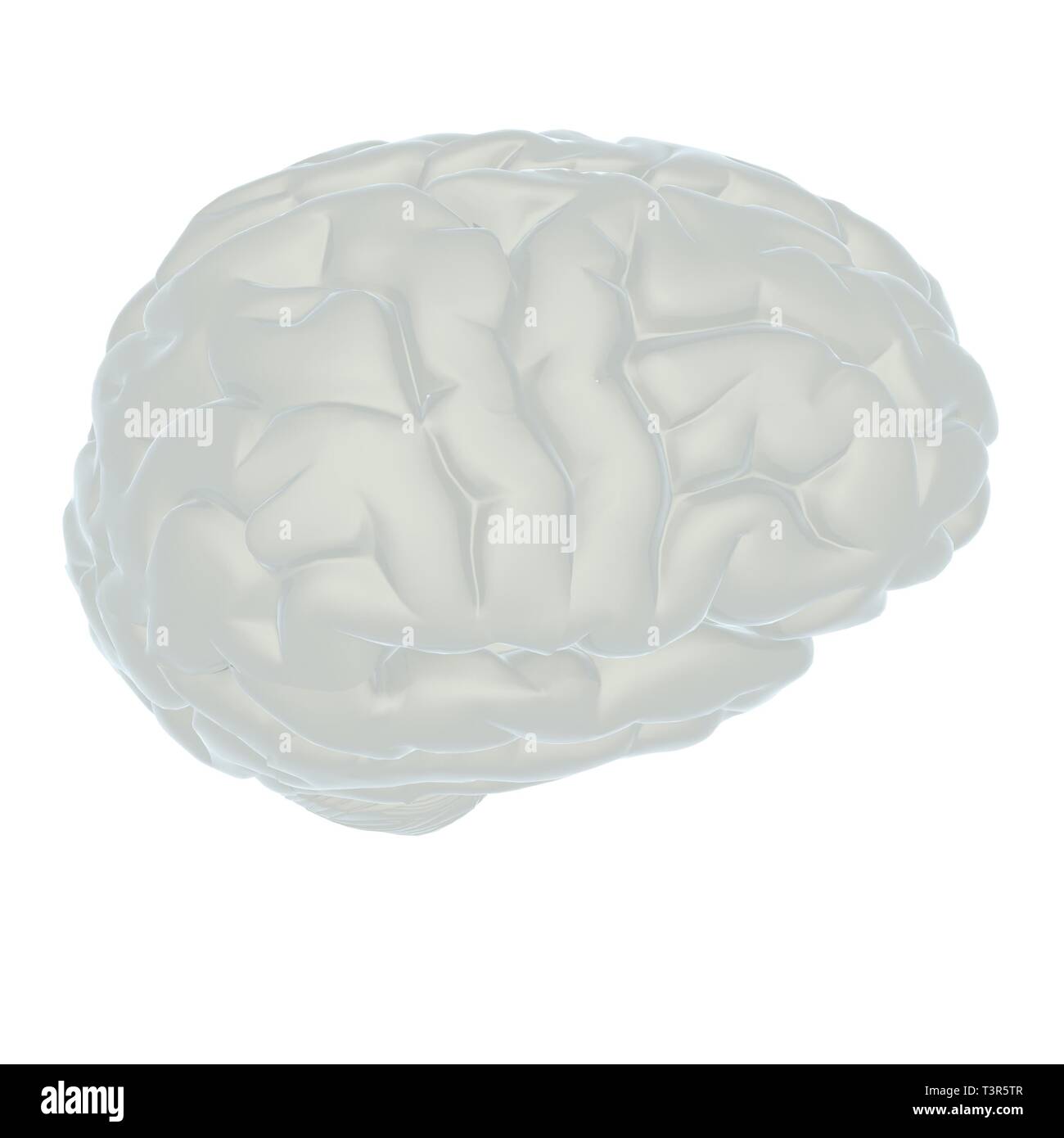 3D illustration of human brain Stock Photo - Alamy