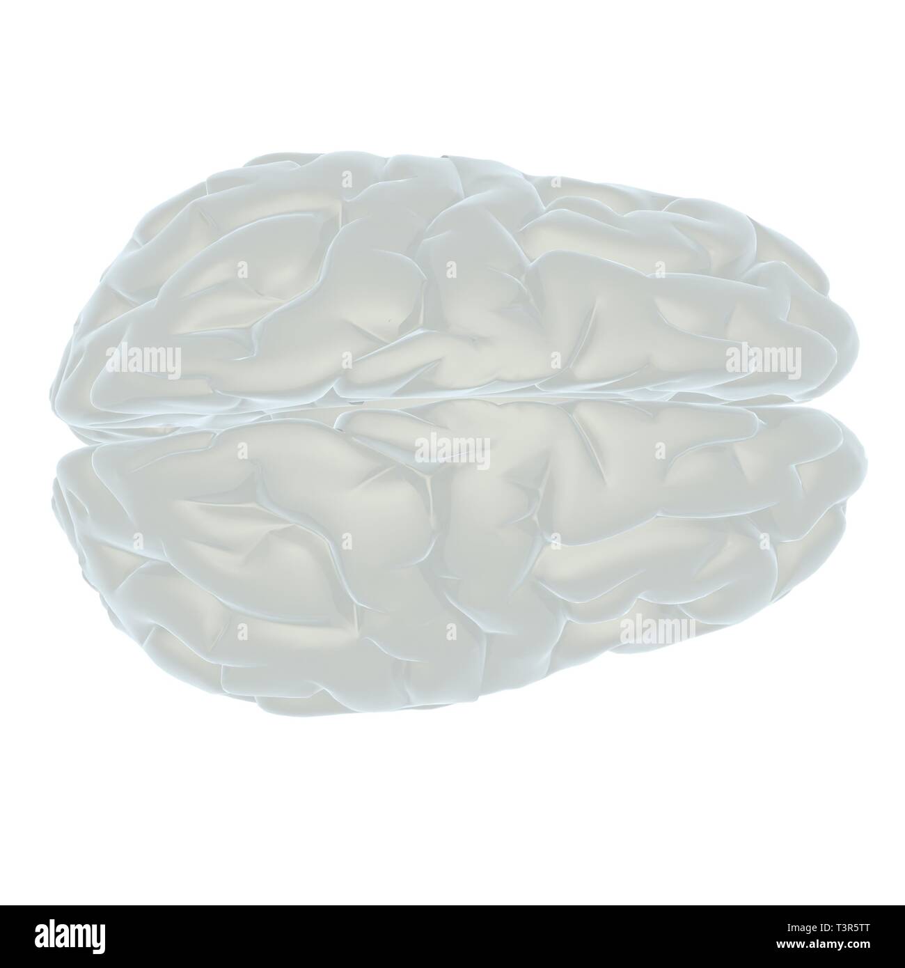 3D illustration of human brain Stock Photo - Alamy