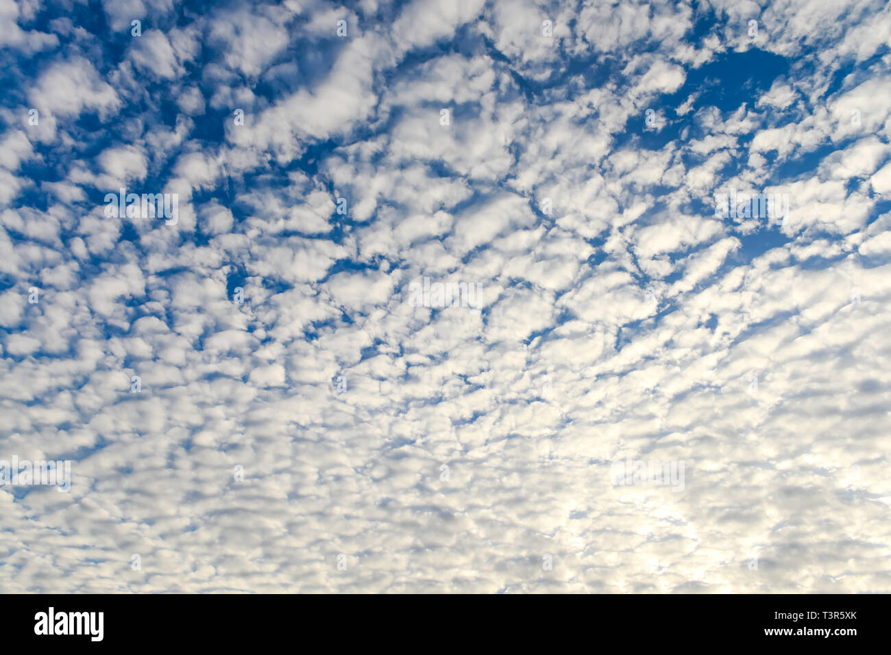 The blue sky and white fluffy clouds Stock Photo - Alamy