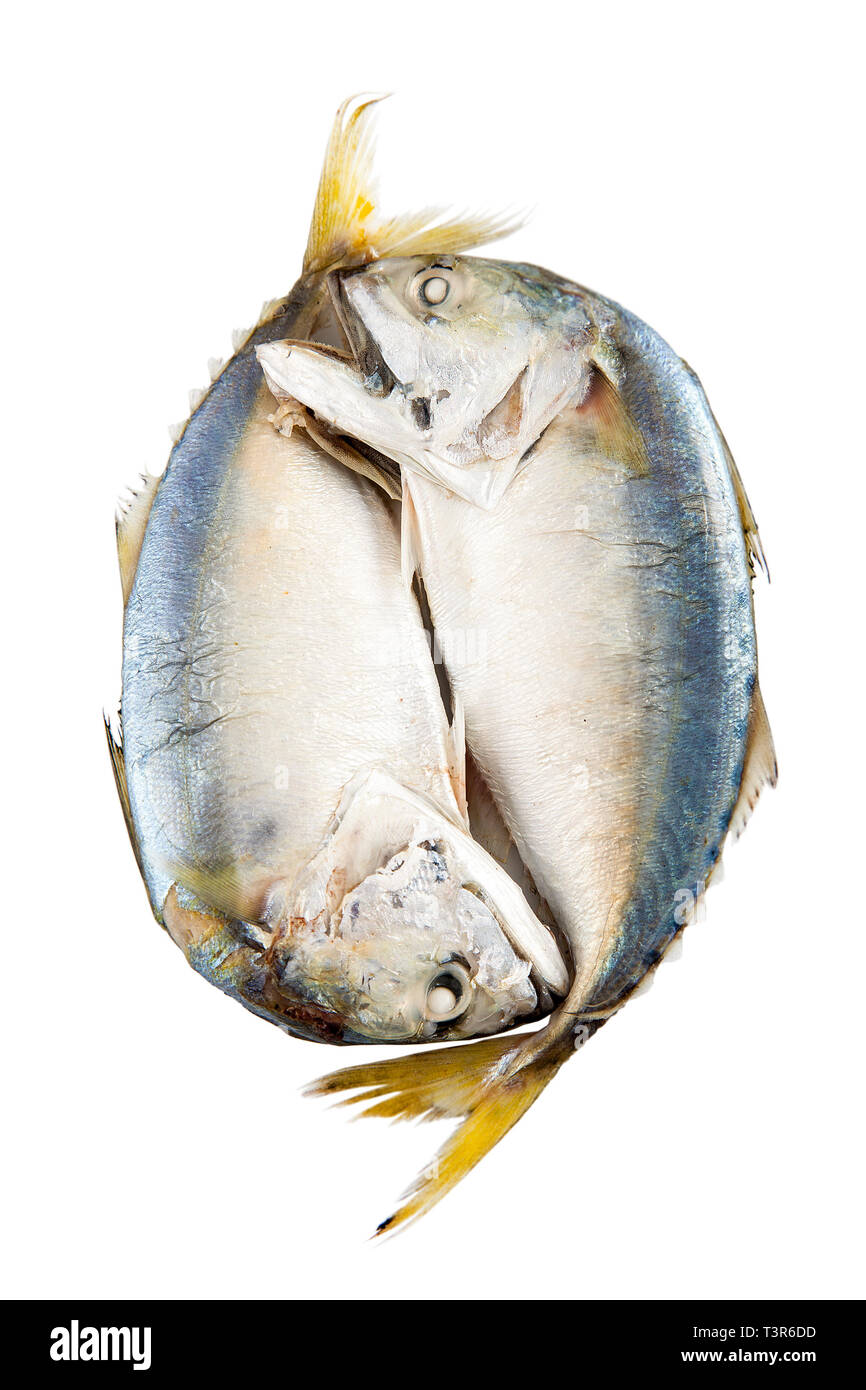 Mackerel fish to steam, Mackerel fish steamed on white background Stock