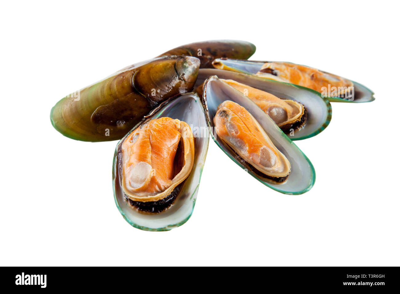 Mussels boiled on a white background Stock Photo - Alamy