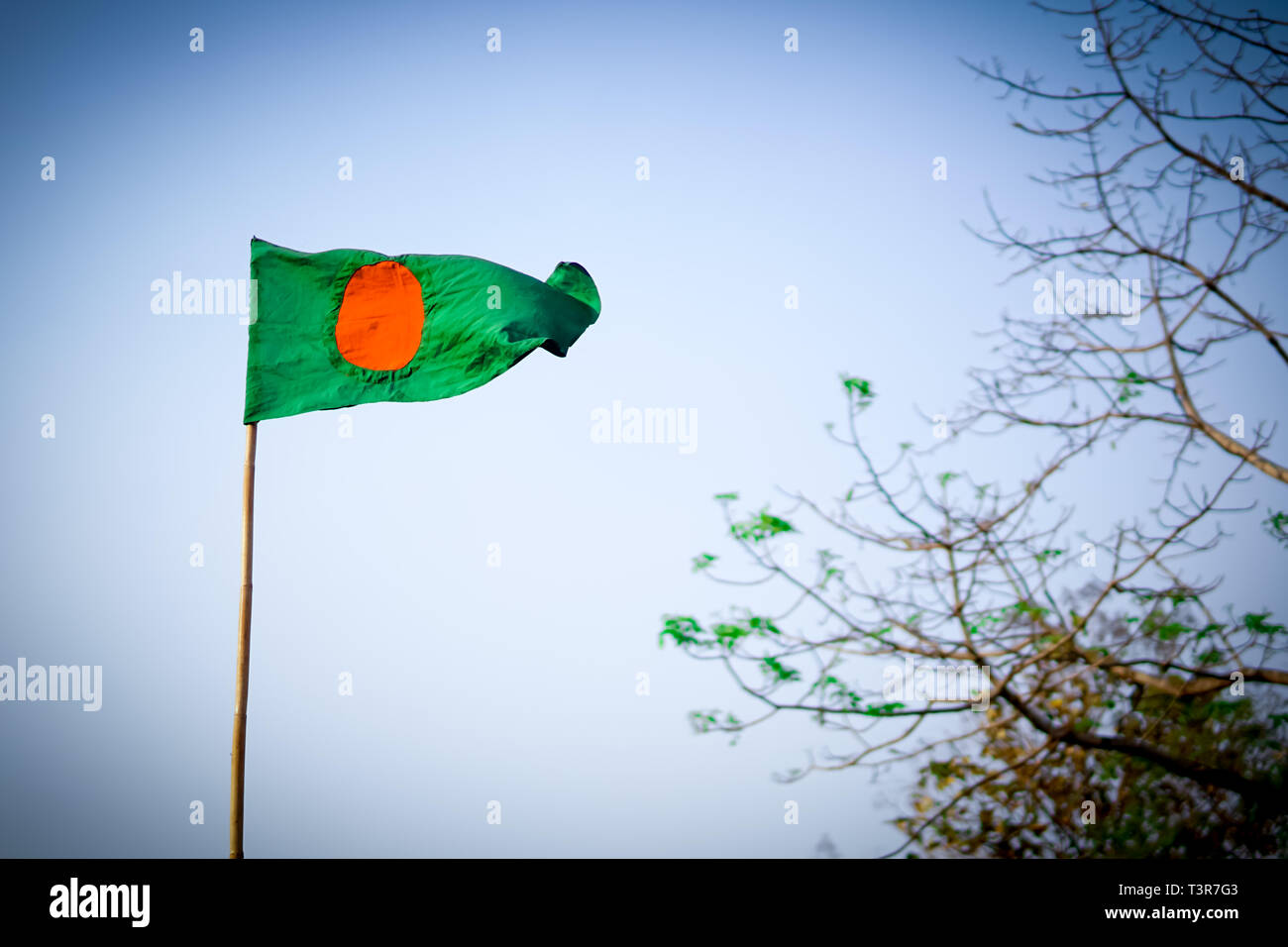 Flying flag of Bangladesh Stock Photo