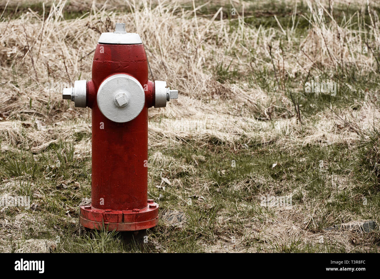 Red fire hydrant on grass with copy space Stock Photo - Alamy