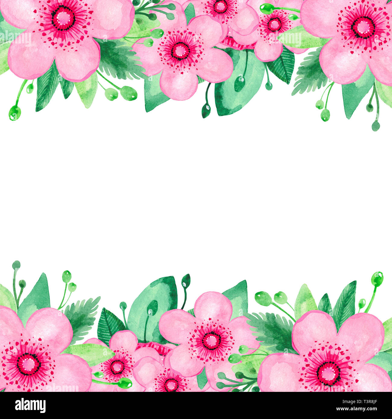 Frame Bright red pink flower green leaves branch on white isolated