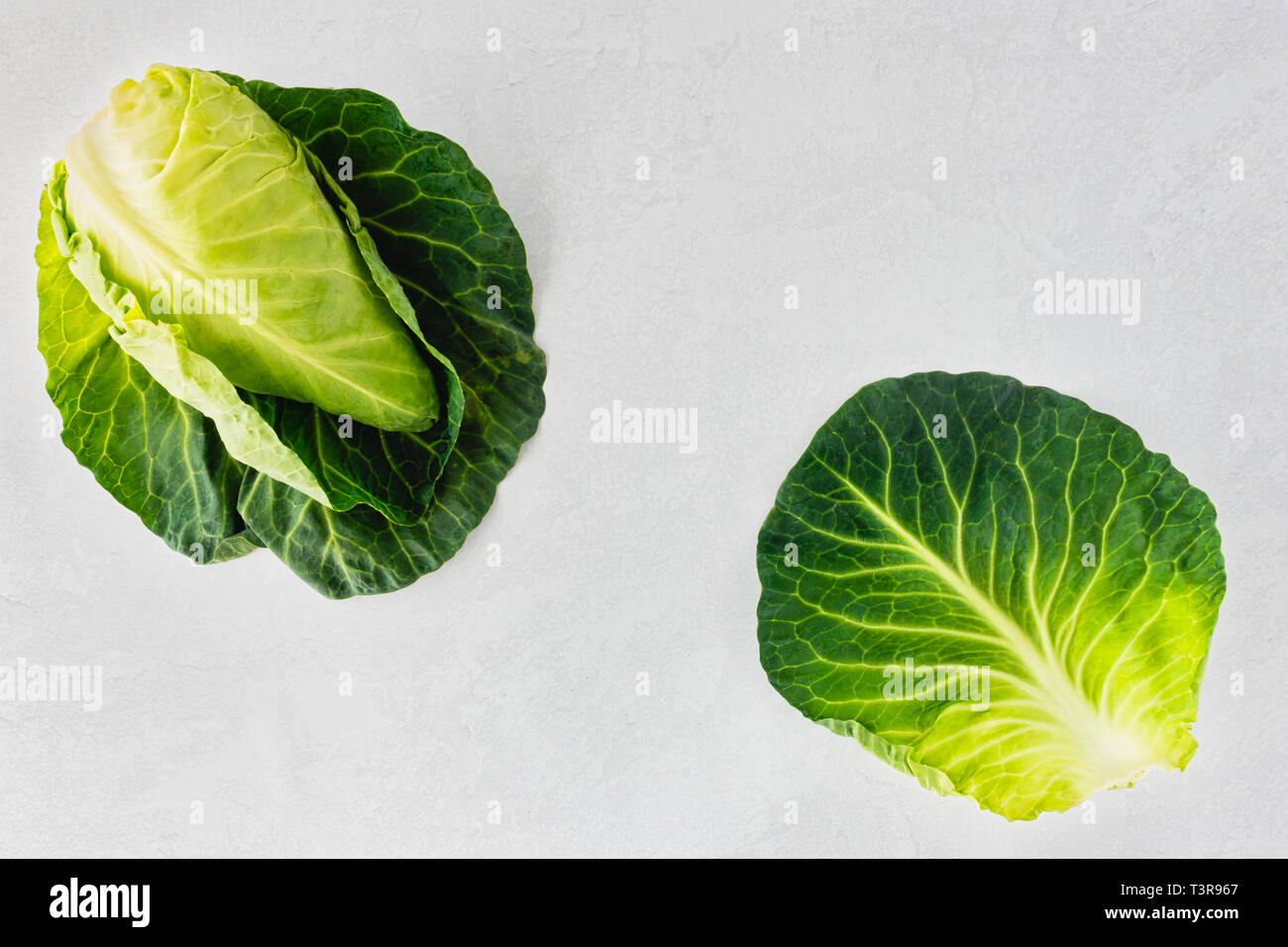 Whole pointed spring cabbage and leaf on gray patterned and textured background with copy space. Top view. Stock Photo