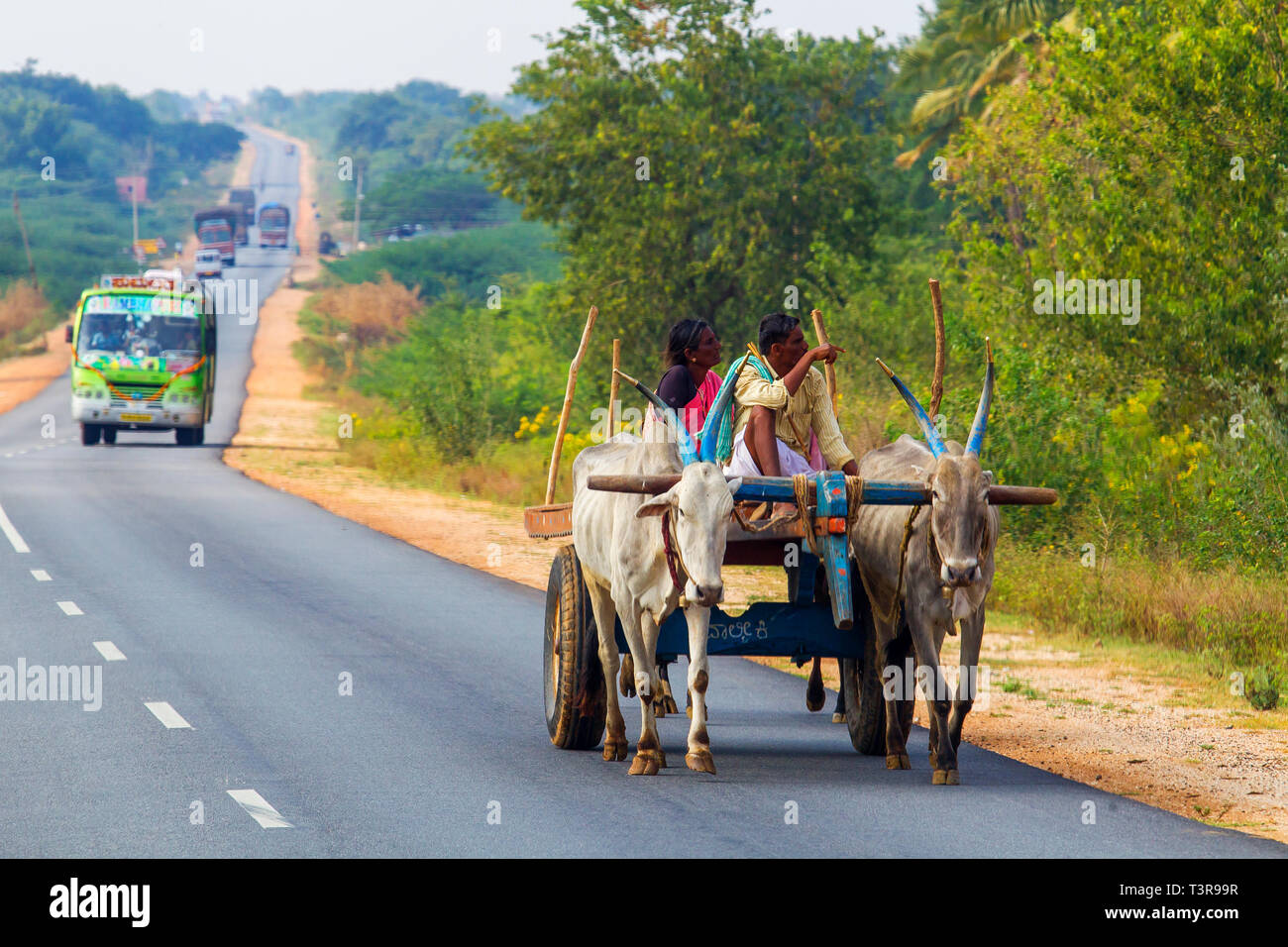 The bullock cart, typical rural transport in the interior of Karnataka