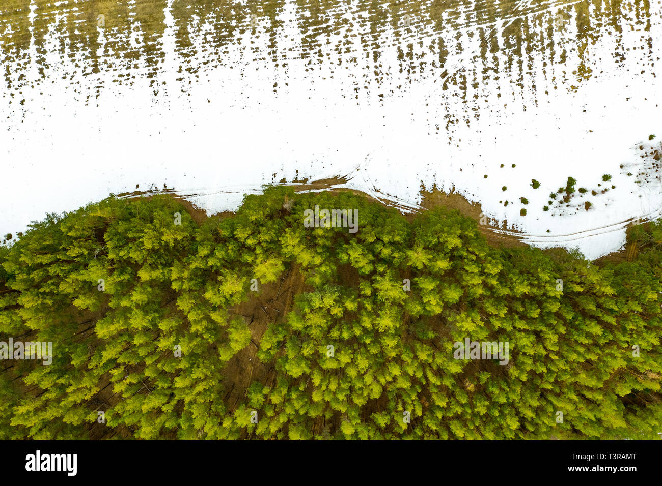 Empty footpath under trees hi-res stock photography and images - Alamy