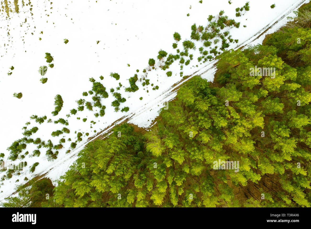 Empty footpath under trees hi-res stock photography and images - Alamy