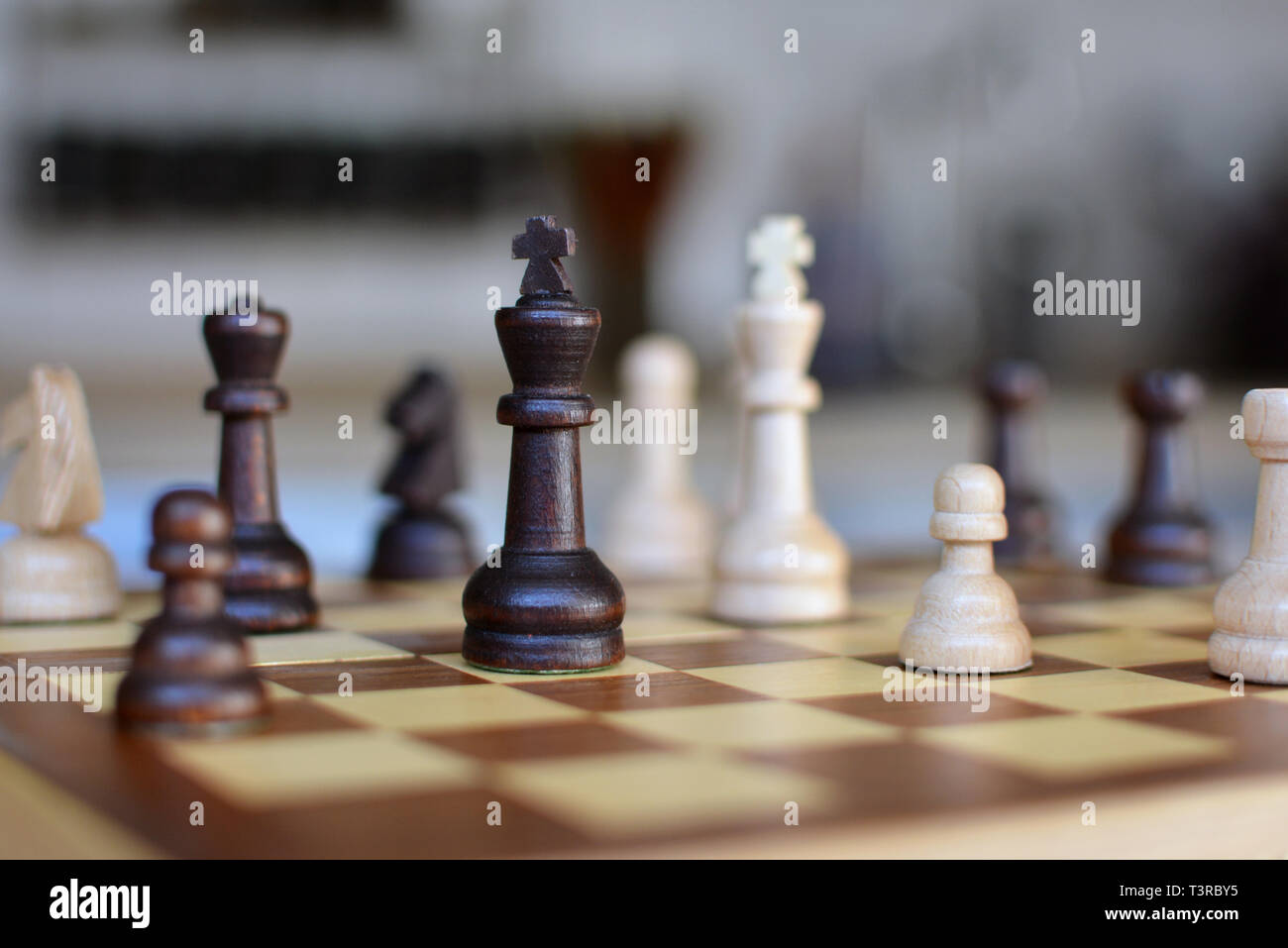 Chess board game with focus on black and white queen pieces on blurry background Stock Photo