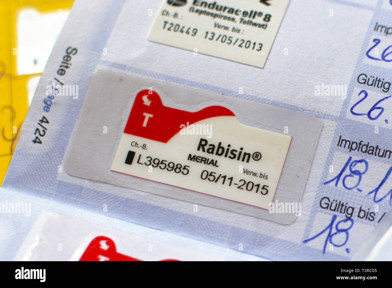 Proof of vaccination against rabies with vaccine called 'Rabisin' in European dog pet passport allowing dog to travel within European Union Stock Photo
