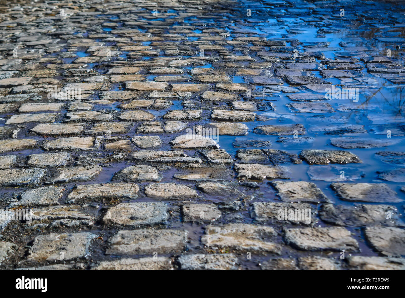 Blue spring sky reflected in the puddles on the cobblestone pavement close-up. Stock Photo