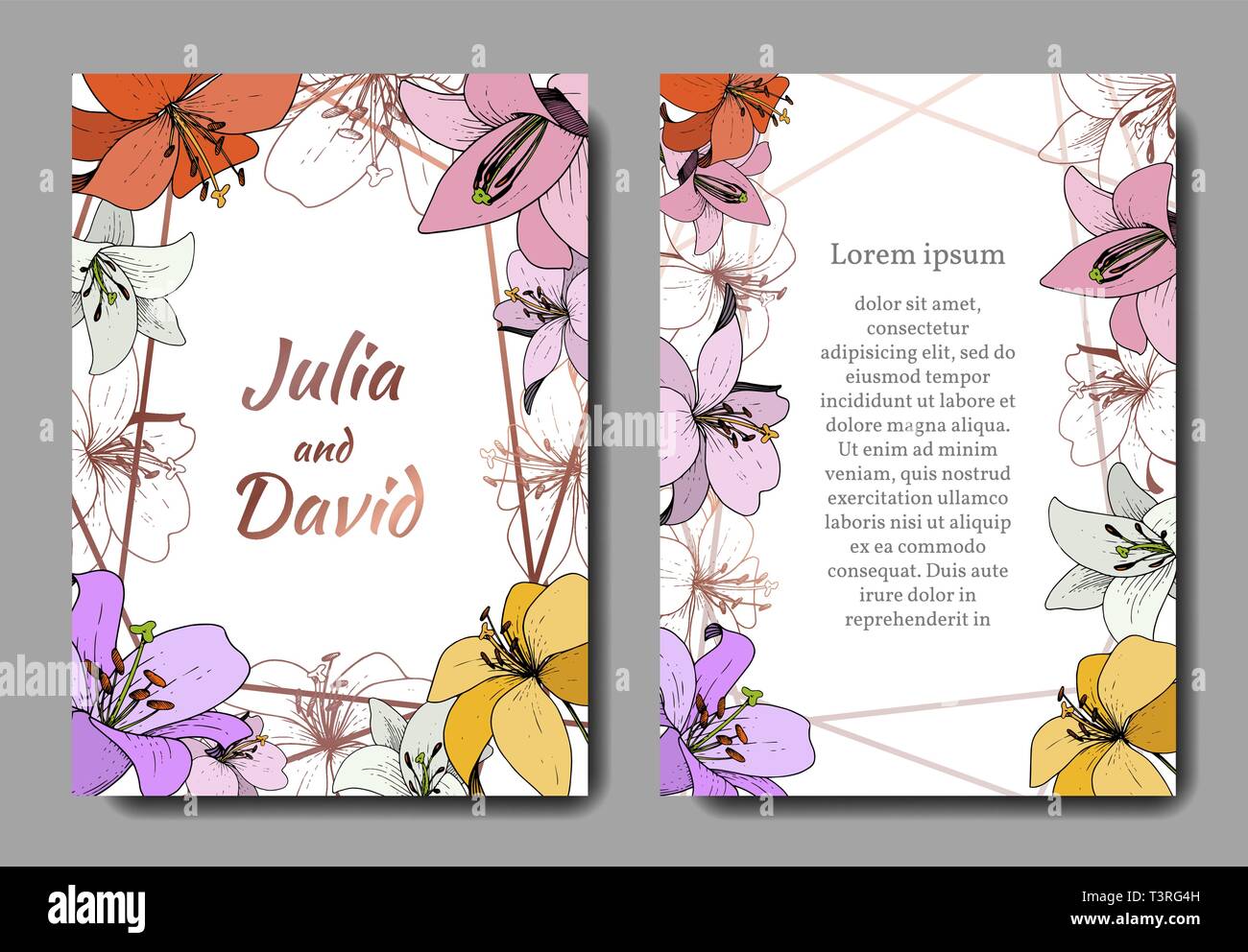 Vector Lily floral botanical flower. Engraved ink art. Wedding background card floral decorative border. Stock Vector