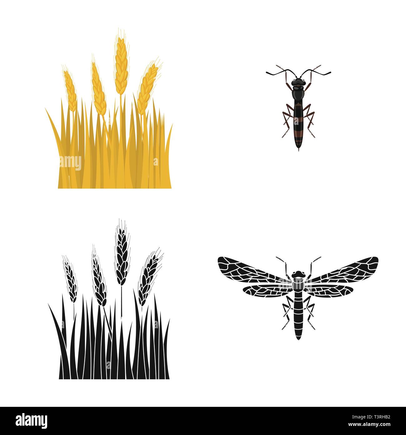 spring,fly,spike,insect,barley,pest,land,control,cornfield,stop,crop ...