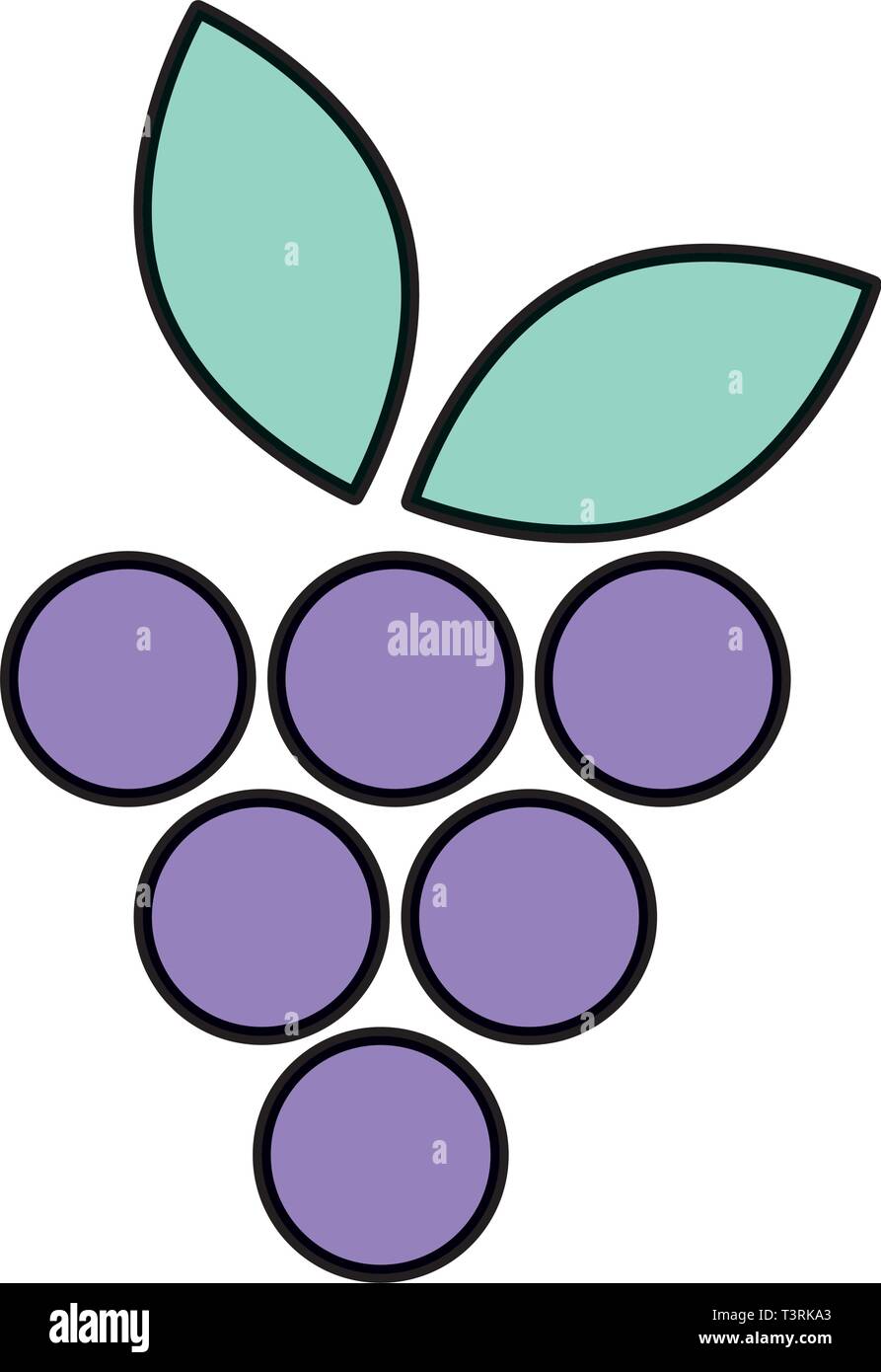 fresh grapes fruits icon Stock Vector Image & Art - Alamy