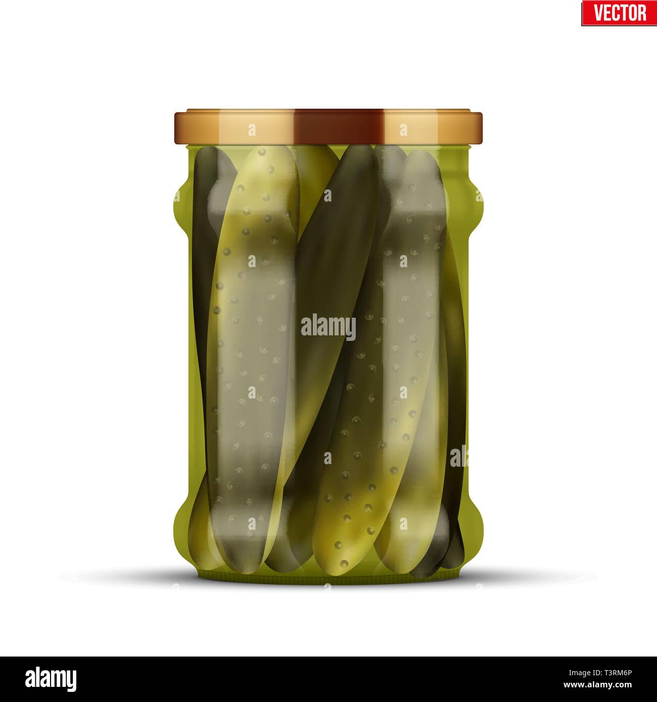 Pickled cucumbers in glass jar Stock Vector