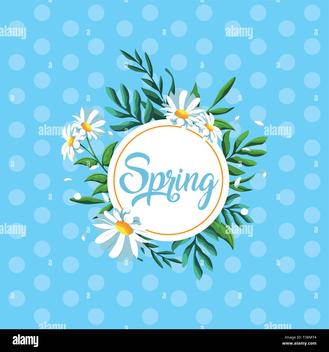 hello spring card with beautiful flowers in frame circular vector ...