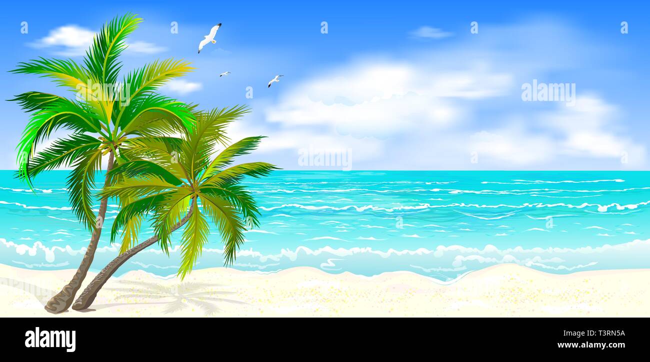 Sea tropical landscape. Sandy beach with palm trees. Seacoast with palm trees, blue sky and white clouds. Palm trees against the background of the sea Stock Vector