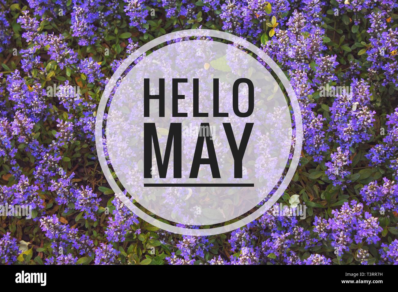 May is spring month