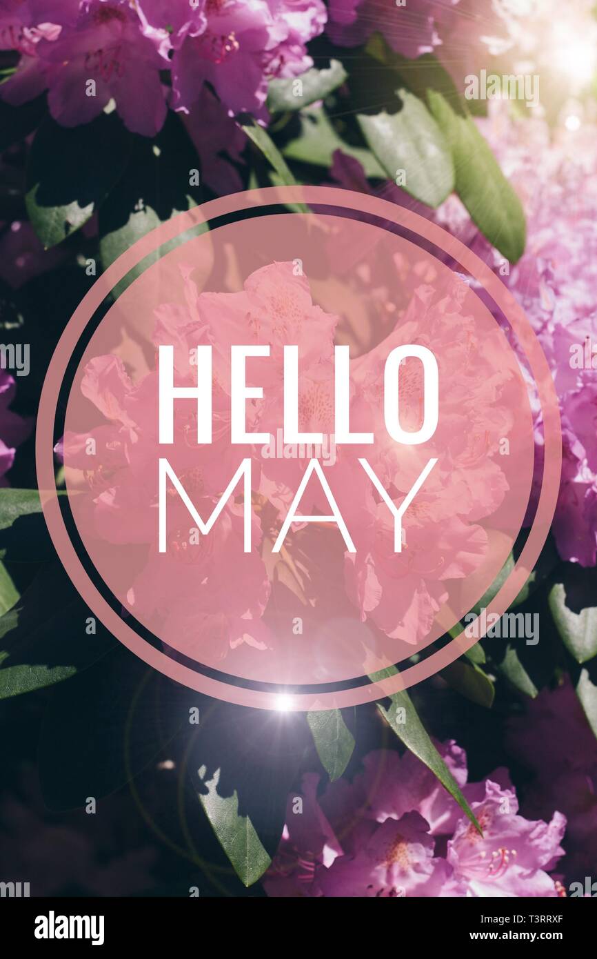 Banner hello may. Welcome picture. New month. Warm month. the month of May. Spring month. Hi spring. Stock Photo