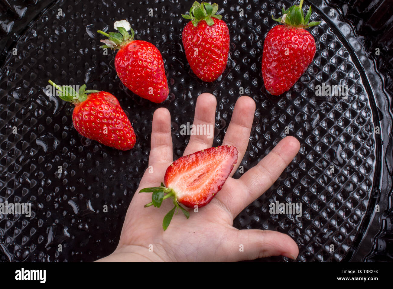 Juicy, sweet and ripe strawberry fruit in hand Stock Photo - Alamy