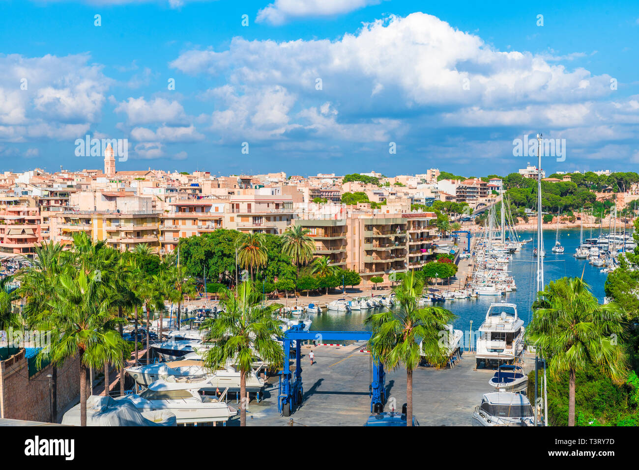 Cristo palma hi-res stock photography and images - Alamy