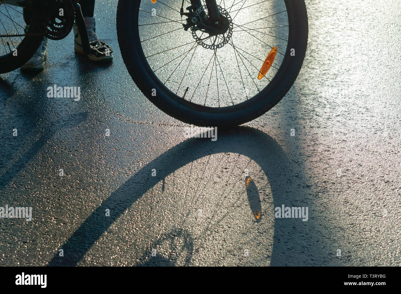 bike on wet roads, the reflection and shadow of a Bicycle wheel Stock Photo