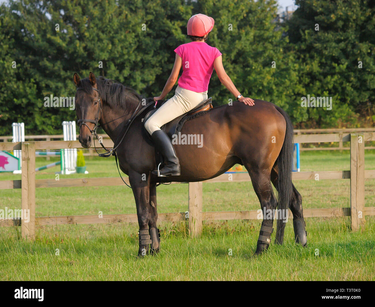 A woman sits on her horse and looks across into a field of show jumps. Stock Photo