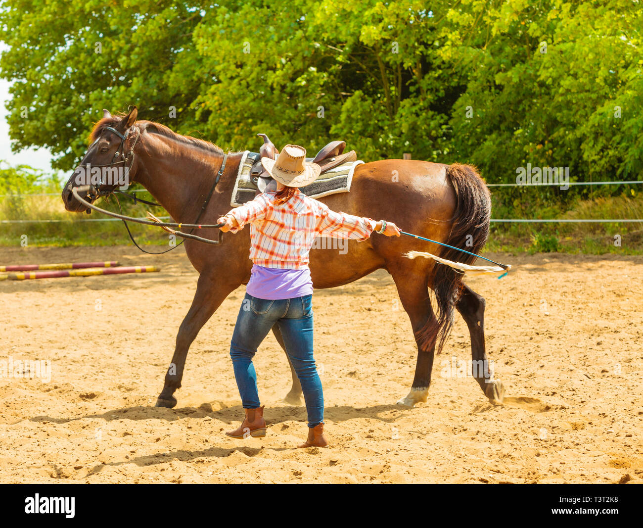 american girl western horse