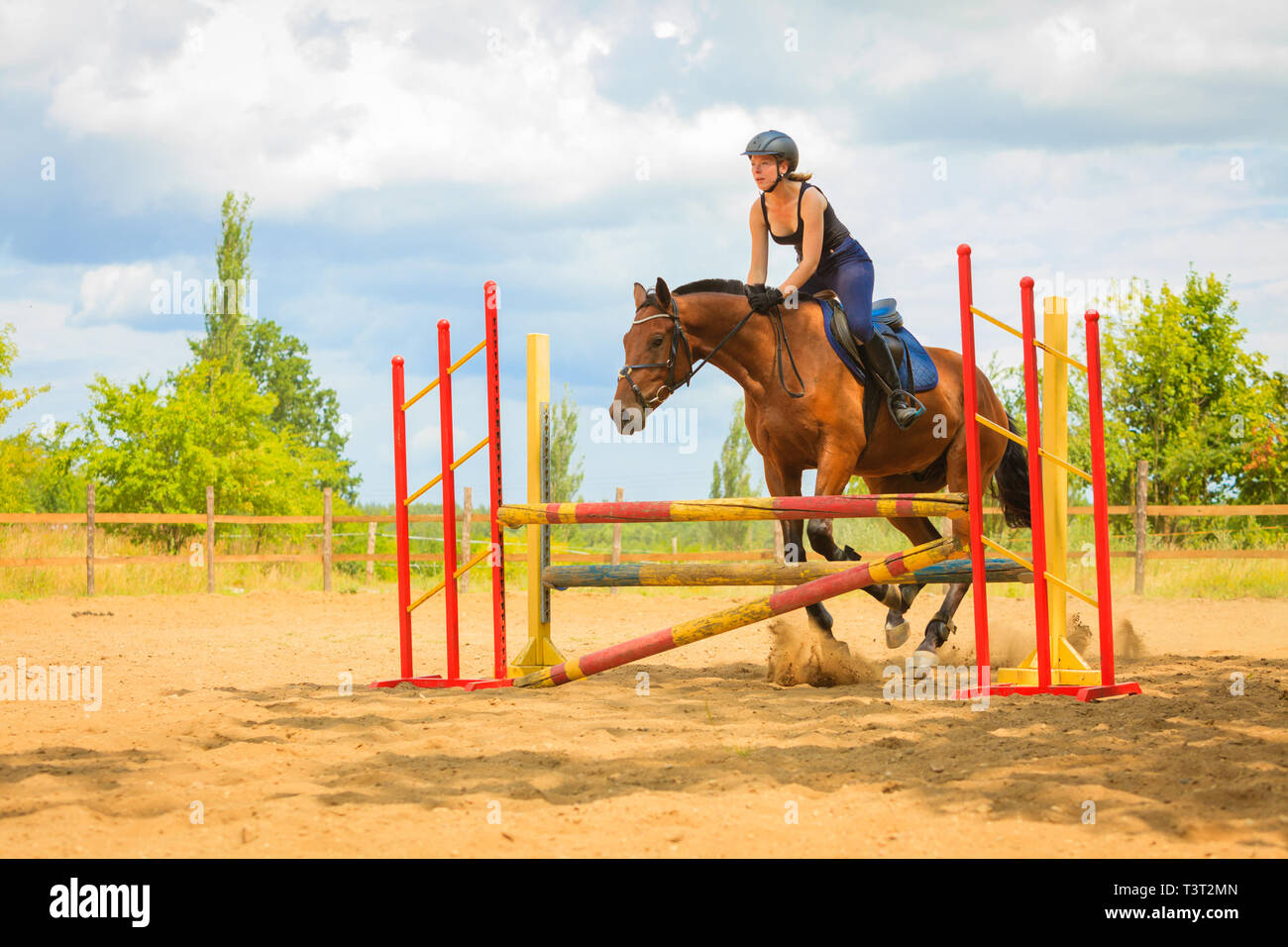 Taking care of animals, horsemanship, western competitions concept. Jockey  young girl doing horse jumping through hurdle on sunny day Stock Photo -  Alamy
