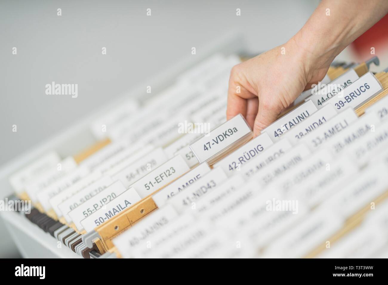 File is taken by person from file office, Germany Stock Photo