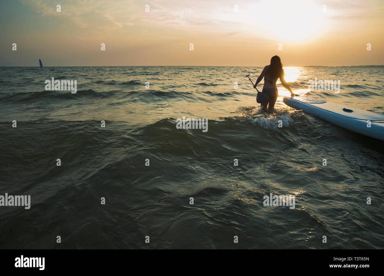 Woman pulling paddleboard in lake Stock Photo