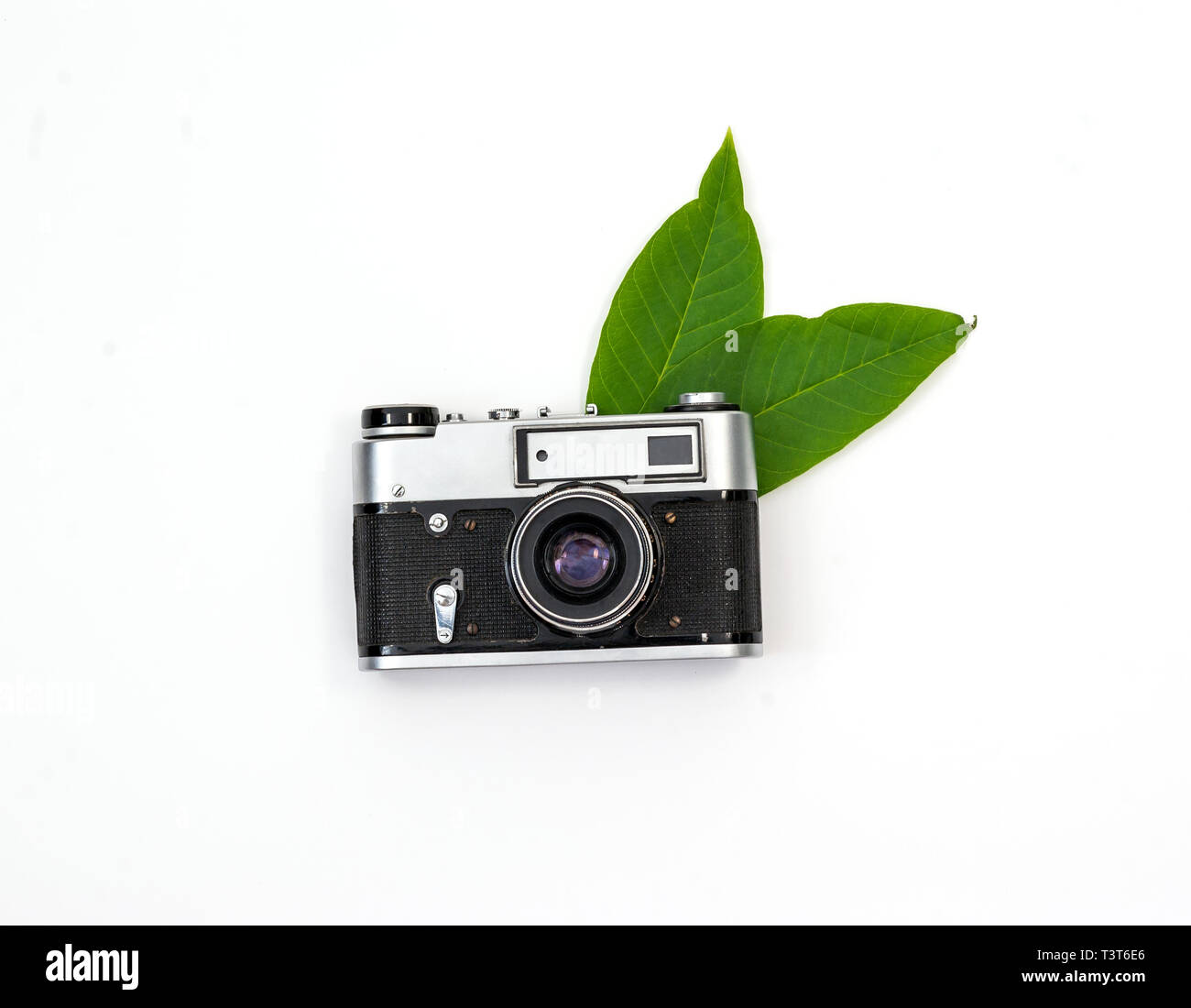 Camera on leaves Cut Out Stock Images & Pictures Alamy