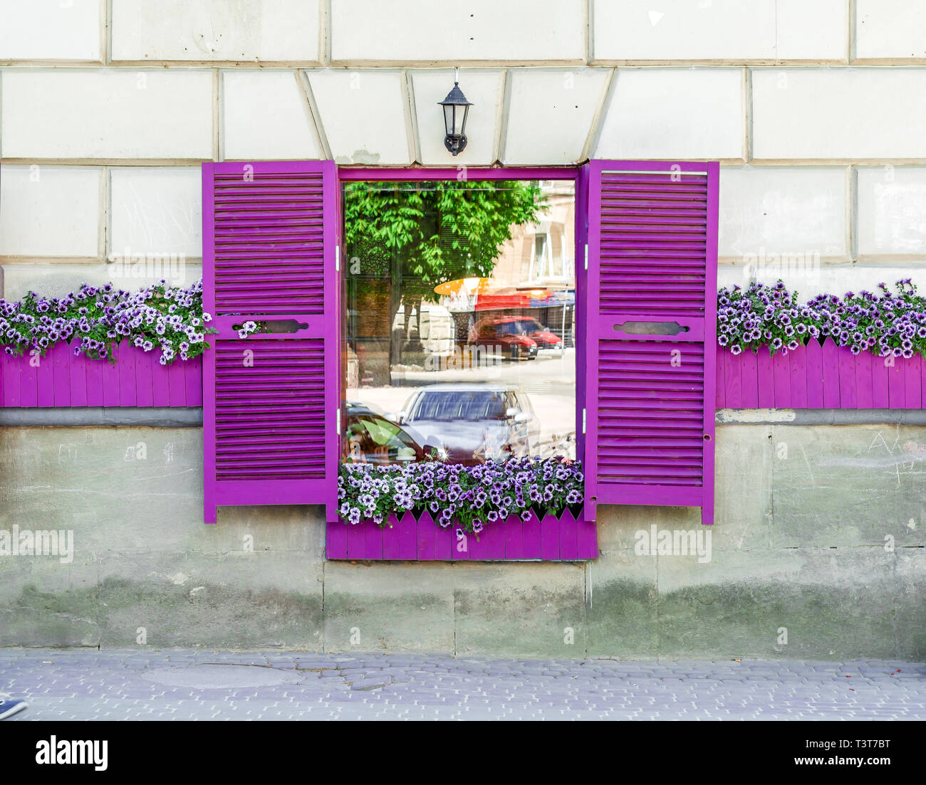 Cafe window with violet shutters and flowers on the windowsill Stock