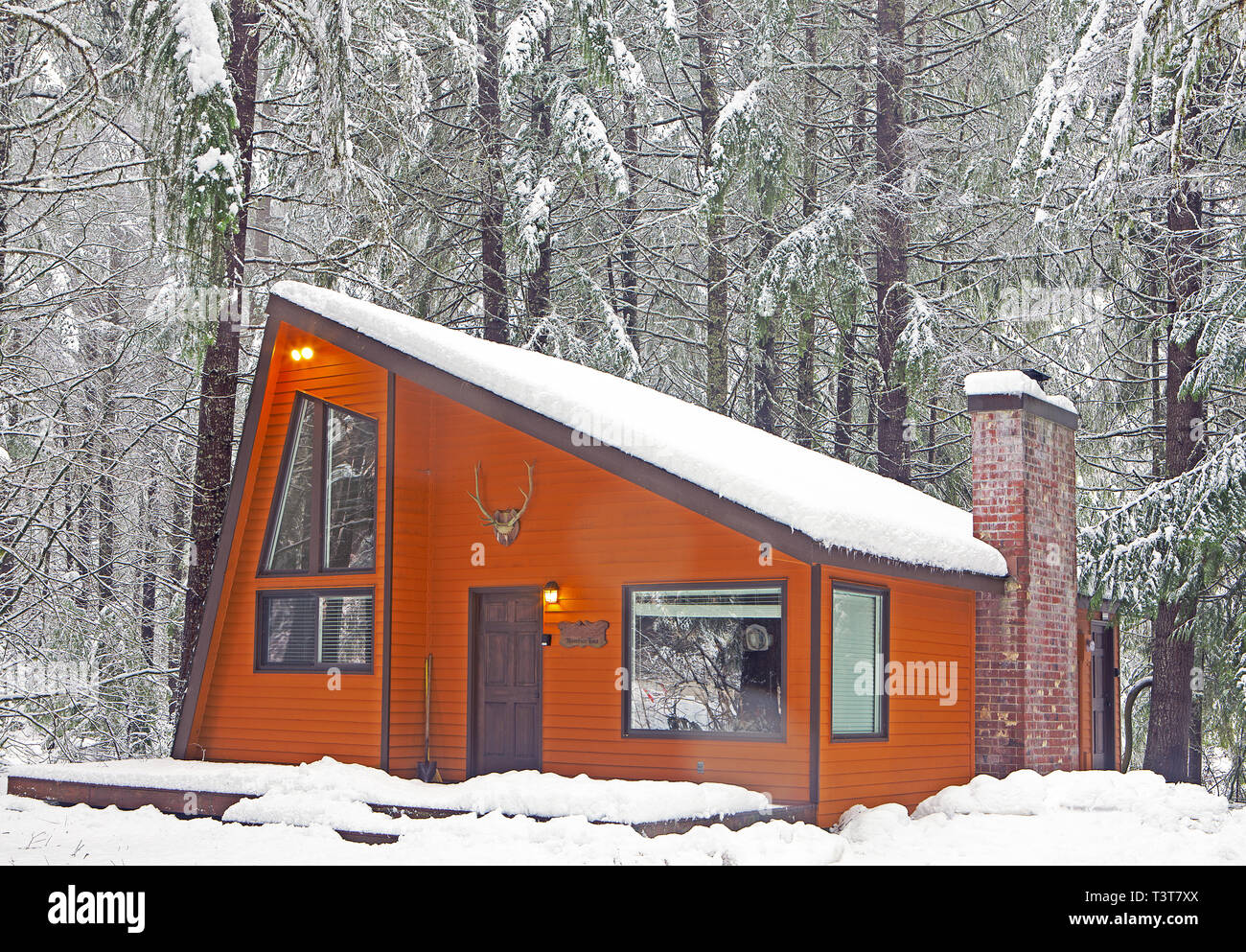 Modern wood cabin in snowy forest Stock Photo